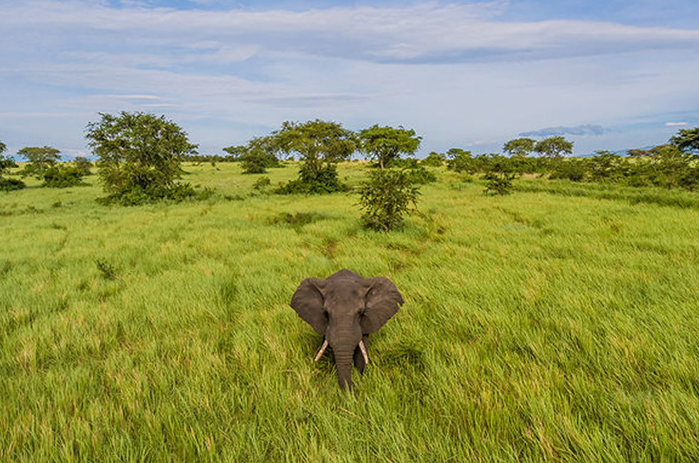 5 Best Reasons Why You Should Visit Uganda