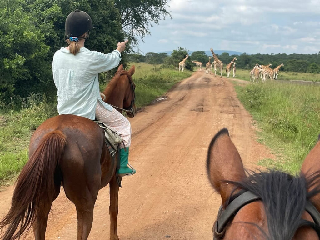 horse game riding