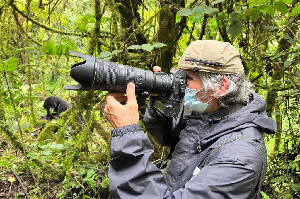 bwindi gorilla photography